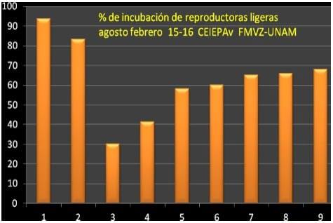 Impacto económico de un brote de bronquitis infecciosa en un lote de reproductoras ligeras en el centro de enseñanza investigación y extensión en producción avícola de la FMVZ de la UNAM - Image 1