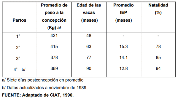 CUADRO 5. Pesos a la concepción, edad al parto, e intervalos entre partos de vacas en pastoreo de B. decumbens y leguminosa. Llanos Orientales de Colombia (SBD). 