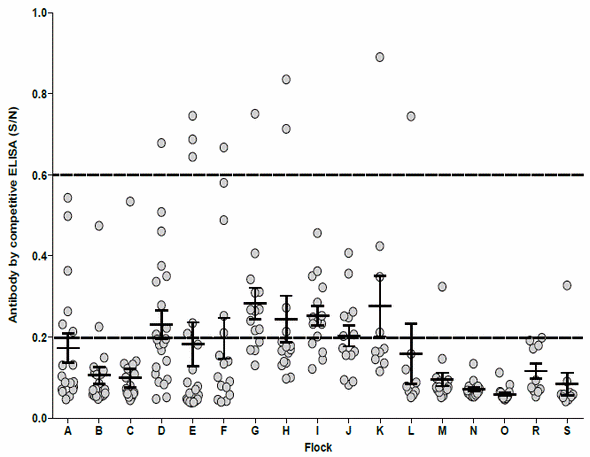 Impacto del monitoreo serológico para anemia infecciosa en la eficiencia productiva de las aves comerciales - Image 1
