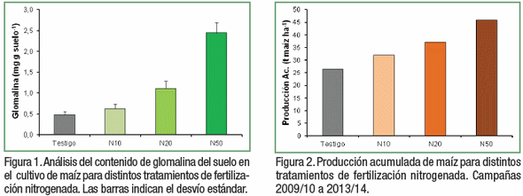 El cultivo de maíz fertilizado con nitrógeno incrementa el contenido de glomalina del suelo - Image 2