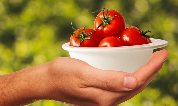 El poder en la era del silicio y el petróleo - Image 1