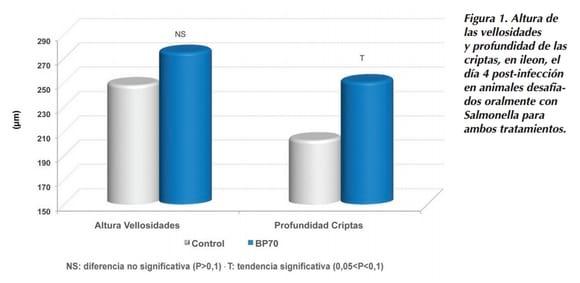 Evaluación de la eficacia del Butirato Sodico Protegido en la prevención de la Salmonelosis Porcina - Image 1