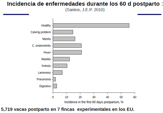 Eficiencia Reproductiva en el Ganado Lechero y su Recuperación Económica - Image 3