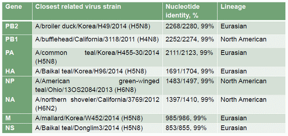 Influenza aviar en Norte América: La introducción de h5n8 linaje eurasiático y su impacto posterior - Image 1