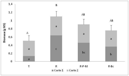 Figura 1. Producción de biomasa de M. alba con el agregado de biofertilizantes (R= rizobios; RPM= Rizobios+ Pseudomonas +Micorrizas; RBc= Rizobios+Bacillus). Letras diferentes indican diferencias significativas entre tratamientos.