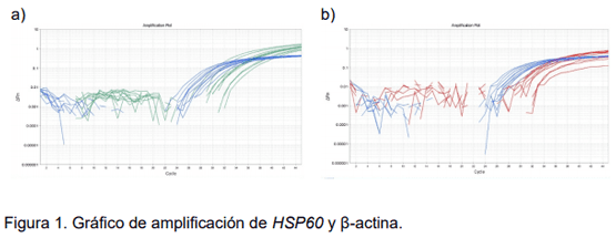 Optimización de las condiciones de amplificación de los genes HSP60, HSP90 y ß-actina en CDNA bovino para análisis de expresión relacionado con estrés calórico - Image 2