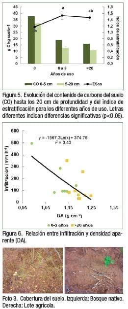 ¿Cómo influye la agriculturización sobre la calidad edáfica y los stocks de carbono en el Chaco Subhúmedo? - Image 5