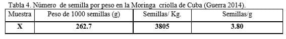 Requerimientos agronómicos de Moringa oleifera (Lam.) en sistemas ganaderos - Image 6