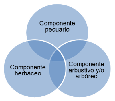 FIGURA 1. Componentes básicos de un sistema silvopastoril. FUENTE: Botero y Russo, 2016. 