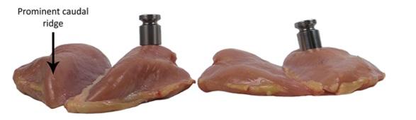 Pechugas de pollos lignificadas, solución con ácidos biliares - Image 1