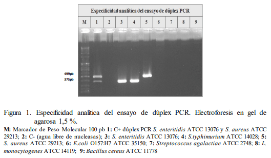 Evaluación de un ensayo de PCR dúplex para la detección de Salmonella spp. y Staphylococcus aureus en leche - Image 2