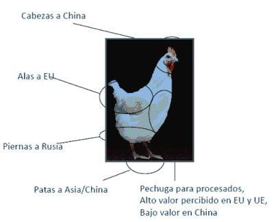 La volatilidad en el negocio avícola - Image 9