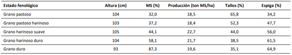 Efecto del estado fenológico en la altura, el contenido de materia seca, la producción y la proporción de espigas y tallos de cebada. Púa, 2013.
