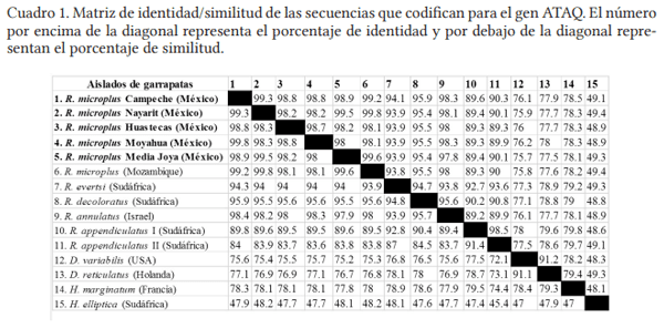 Análisis molecular de la secuencia del gen ATAQ en aislados mexicanos de la garrapata rhipicephalus microplus - Image 1
