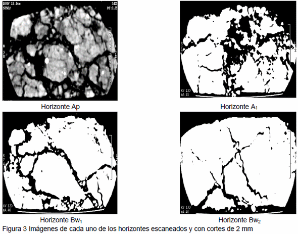 Evaluación de la estructura del suelo a través de la tomografía computarizada - Image 3