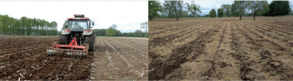 Paso de arado subsolador que permite la descompactación del suelo y la exploración radical del maíz en el suelo.