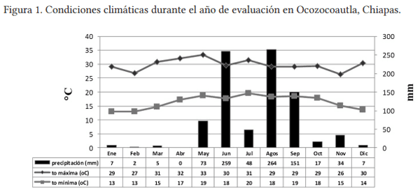 Cinética del valor nutricional y digestibilidad en un híbrido de urochloa (cv. camello) con tolerancia a sequía - Image 1