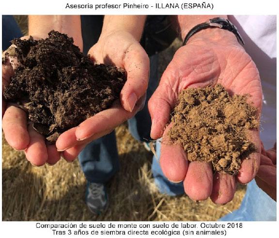 Regeneración de tierra de cereal en España mediante principios agroecológicos - Image 2