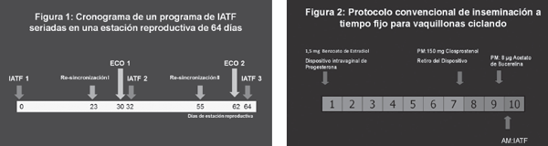 BUIATRÍA - Programas de IATF seriadas en la cria: desafios y oportunidades - Image 1