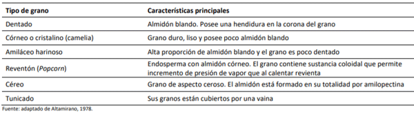 Agrupación de las semillas de maíz según sus características físicas.