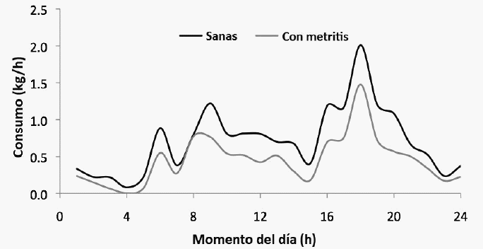 Identificación de Vacas en Transición en Riesgo y la Mejor Forma de Manejarlas - Image 1