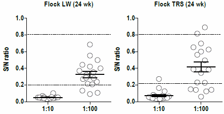 Impacto del monitoreo serológico para anemia infecciosa en la eficiencia productiva de las aves comerciales - Image 2