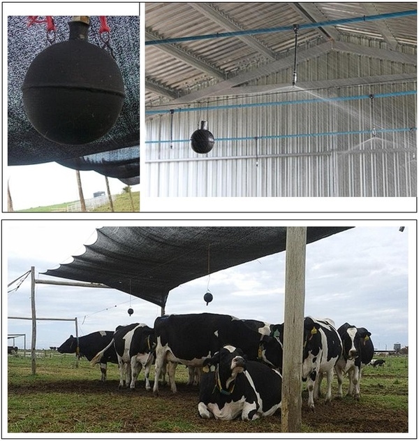 Efecto de diferentes medidas de mitigación del estrés por calor en vacas lecheras de alta producción - Image 7