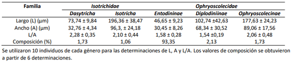 Tabla 1. Largo, ancho y porcentaje de composición de protozoos ruminales en novillo Braford (media ± desvío estándar)