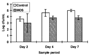 Grafico 2: Efecto de los manano-oligosacáridos (MOS) sobre la concentración de salmonelas en pollitos a los 2, 4 y 7 días después del desafío con Salmonella typhimurium (Spring et al. 2000). 