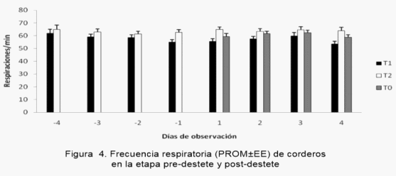 Efecto de tres métodos de destete sobre la respuesta conductual y fisiológica como parámetros de bienestar en corderos Santa Cruz (Ovis aries) - Image 2