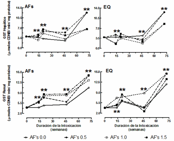 La etoxiquina modifica los efectos bioquímicos e histopatológicos de la intoxicación crónica por aflatoxinas en gallinas de postura - Image 2