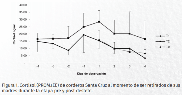 Efecto del tipo de destete sobre las concentraciones de cortisol sérico como parámetro de bienestar en corderos santa cruz - Image 1