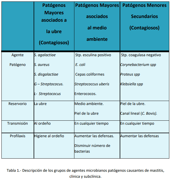 Factores que influyen sobre la salud de la ubre. - Image 2