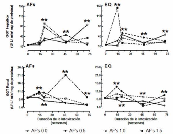 La etoxiquina modifica los efectos bioquímicos e histopatológicos de la intoxicación crónica por aflatoxinas en gallinas de postura - Image 3