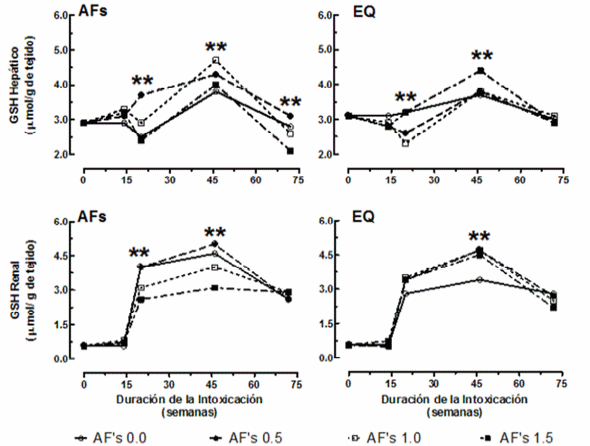 La etoxiquina modifica los efectos bioquímicos e histopatológicos de la intoxicación crónica por aflatoxinas en gallinas de postura - Image 1