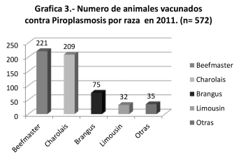 Vacuna contra piroplasmosis en bovinos de Tamaulipas, ventajas y beneficios. - Image 5