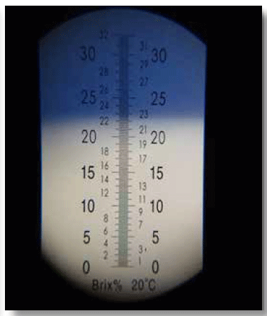 Visor del refractómetro óptico en grados brix: medición de calidad de calostro