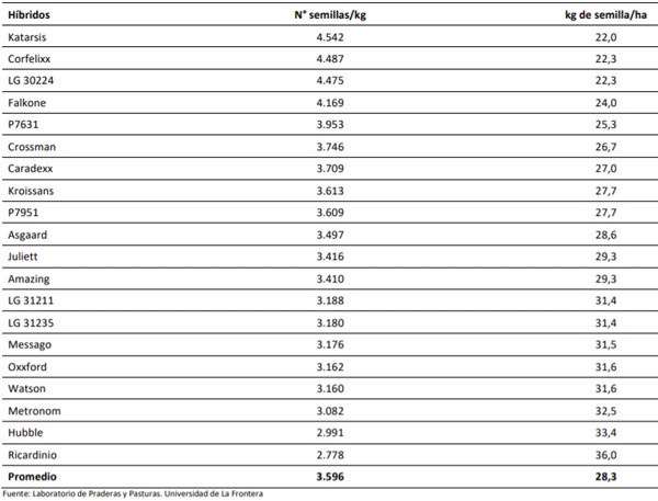 Número de semillas de maíz por kilo y kilos de semilla/ha equivalente a una siembra de 100.000 semillas/ha.