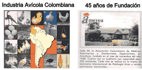 AMEVEA Colombia, Pionera en Sur América cumple 45 años de su fundación - Image 1
