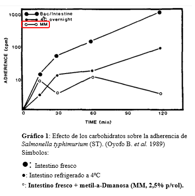 Gráfico 1: Efecto de los carbohidratos sobre la adherencia de Salmonella typhimurium (ST). (Oyofo B. et al. 1989) Símbolos: 