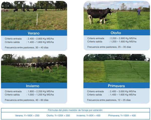FORRAJERAS - Determinaciones en praderas y cultivos suplementarios - Image 3