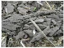 Condición estructural superficial de los suelos bajo siembra directa: Caracterización y génesis - Image 3