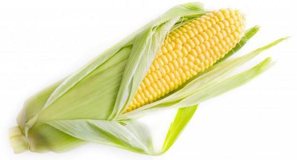Nuevas tecnologías para el maíz extruido - Image 1