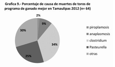 Vacuna contra piroplasmosis en bovinos de Tamaulipas, ventajas y beneficios. - Image 11