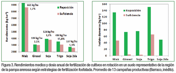 El valor de los estudios de largo plazo para el manejo de la nutrición de soja - Image 3