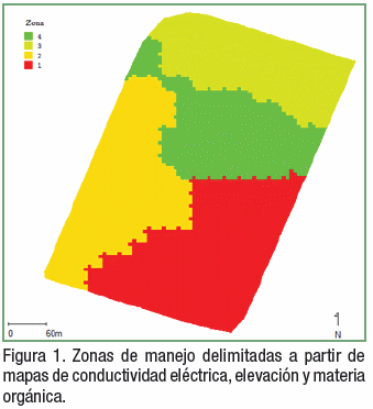 Respuesta del maíz a la fertilización nitrogenada por zonas de manejo - Image 1