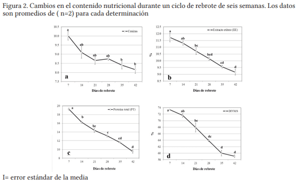 Cinética del valor nutricional y digestibilidad en un híbrido de urochloa (cv. camello) con tolerancia a sequía - Image 2