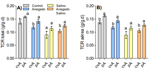 Figura 1. Tasa de crecimiento relativa (TCR, g/g.d) de la biomasa total (A) y aérea (B) del cultivar comercial Aprilia (cvA) y la progenie (pA) para los tratamientos control, anegado, salino y anegado salino. Se muestran promedios ± E.E (n=12). Letras distintas indican diferencias significativas entre cvA y pA para cada tratamiento (LSD Fisher, P< 0.05).