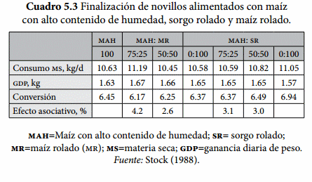 Mezclas de granos - Image 3