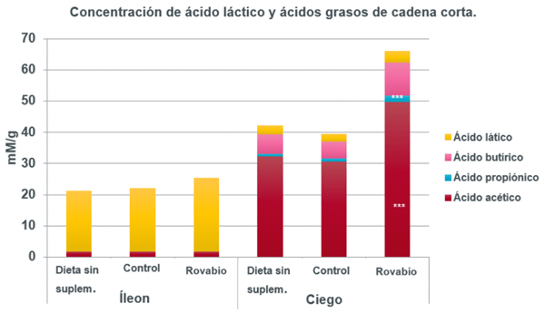 Figura 4: Rovabio® aumentó los niveles de ácidos grasos de cadena corta, especialmente ácidos acético y butírico, en pollos de engorde el día 14.